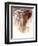 Elephant Bull-Mark Adlington-Framed Premium Giclee Print