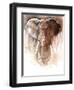 Elephant Bull-Mark Adlington-Framed Premium Giclee Print