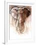 Elephant Bull-Mark Adlington-Framed Giclee Print