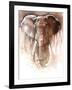 Elephant Bull-Mark Adlington-Framed Giclee Print