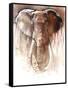 Elephant Bull-Mark Adlington-Framed Stretched Canvas