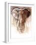 Elephant Bull-Mark Adlington-Framed Giclee Print