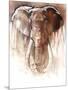 Elephant Bull-Mark Adlington-Mounted Giclee Print