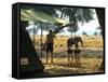 Elephant by John Stevens' Tented Camp, Mana Pools, Zimbabwe-John Warburton-lee-Framed Stretched Canvas