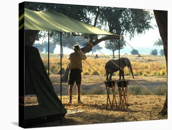 Elephant by John Stevens' Tented Camp, Mana Pools, Zimbabwe-John Warburton-lee-Stretched Canvas