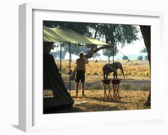 Elephant by John Stevens' Tented Camp, Mana Pools, Zimbabwe-John Warburton-lee-Framed Photographic Print