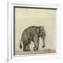 Elephant, C.1790-Gungaram Tambat-Framed Giclee Print