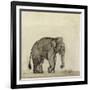 Elephant, C.1790-Gungaram Tambat-Framed Giclee Print