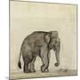 Elephant, C.1790-Gungaram Tambat-Mounted Giclee Print