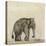 Elephant, C.1790-Gungaram Tambat-Stretched Canvas