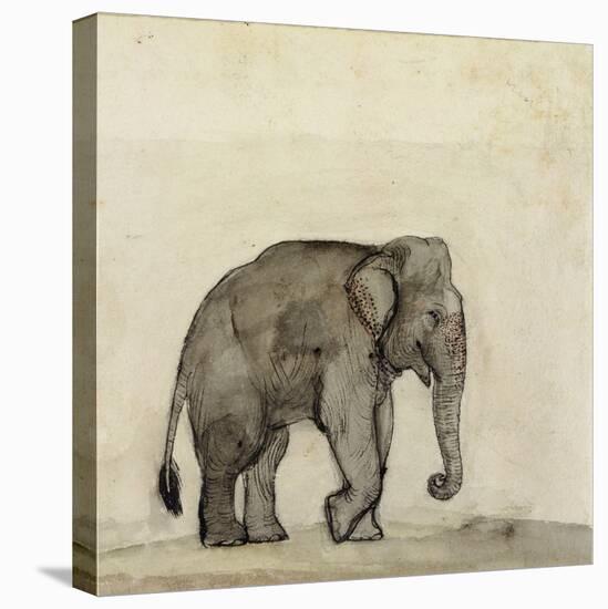 Elephant, C.1790-Gungaram Tambat-Stretched Canvas