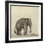 Elephant, C.1790-Gungaram Tambat-Framed Giclee Print