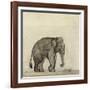 Elephant, C.1790-Gungaram Tambat-Framed Giclee Print