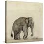 Elephant, C.1790-Gungaram Tambat-Stretched Canvas