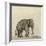 Elephant, C.1790-Gungaram Tambat-Framed Giclee Print