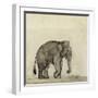 Elephant, C.1790-Gungaram Tambat-Framed Giclee Print