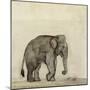 Elephant, C.1790-Gungaram Tambat-Mounted Giclee Print