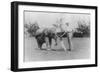 Elephant Caddie on Golf Course Photograph - Miami, FL-Lantern Press-Framed Art Print