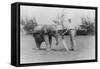 Elephant Caddie on Golf Course Photograph - Miami, FL-Lantern Press-Framed Stretched Canvas