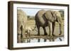 Elephant Calf and Herd-null-Framed Photographic Print