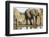 Elephant Calf and Herd-null-Framed Photographic Print