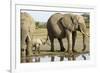 Elephant Calf and Herd-null-Framed Photographic Print