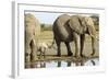 Elephant Calf and Herd-null-Framed Photographic Print