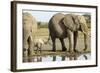 Elephant Calf and Herd-null-Framed Photographic Print