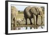 Elephant Calf and Herd-null-Framed Photographic Print