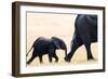 Elephant calf following mother, Hwange National Park, Zimbabwe, Africa-Karen Deakin-Framed Photographic Print