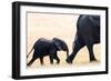 Elephant calf following mother, Hwange National Park, Zimbabwe, Africa-Karen Deakin-Framed Photographic Print