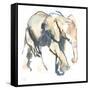 Elephant calf, Loisaba, 2017)-Mark Adlington-Framed Stretched Canvas