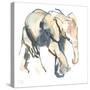 Elephant calf, Loisaba, 2017)-Mark Adlington-Stretched Canvas