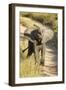 Elephant Calf, Sabi Sabi Reserve, South Africa-Paul Souders-Framed Photographic Print