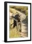 Elephant Calf, Sabi Sabi Reserve, South Africa-Paul Souders-Framed Photographic Print