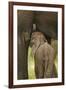 Elephant Calf Suckling-Martin Harvey-Framed Photographic Print