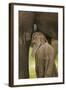 Elephant Calf Suckling-Martin Harvey-Framed Photographic Print