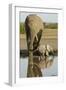 Elephant Calf-null-Framed Premium Photographic Print