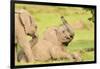 Elephant calves playing in the Masai Mara, Kenya, East Africa, Africa-Karen Deakin-Framed Photographic Print