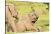 Elephant calves playing in the Masai Mara, Kenya, East Africa, Africa-Karen Deakin-Stretched Canvas