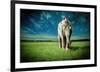 Elephant Carry Me-Jeff Madison-Framed Art Print