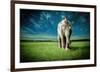 Elephant Carry Me-Jeff Madison-Framed Art Print