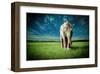 Elephant Carry Me-Jeff Madison-Framed Art Print