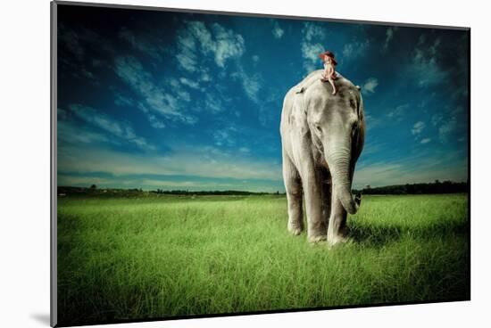 Elephant Carry Me-Jeff Madison-Mounted Art Print