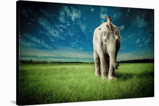 Elephant Carry Me-Jeff Madison-Stretched Canvas