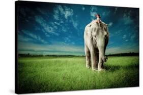 Elephant Carry Me-Jeff Madison-Stretched Canvas