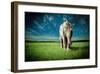 Elephant Carry Me-Jeff Madison-Framed Art Print