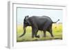 Elephant, Chobe Nat Pk, Botswana, Africa-Peter Adams-Framed Photographic Print