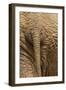 Elephant Close Up Rear View of African Elephant-null-Framed Premium Photographic Print