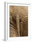 Elephant Close Up Rear View of African Elephant-null-Framed Premium Photographic Print